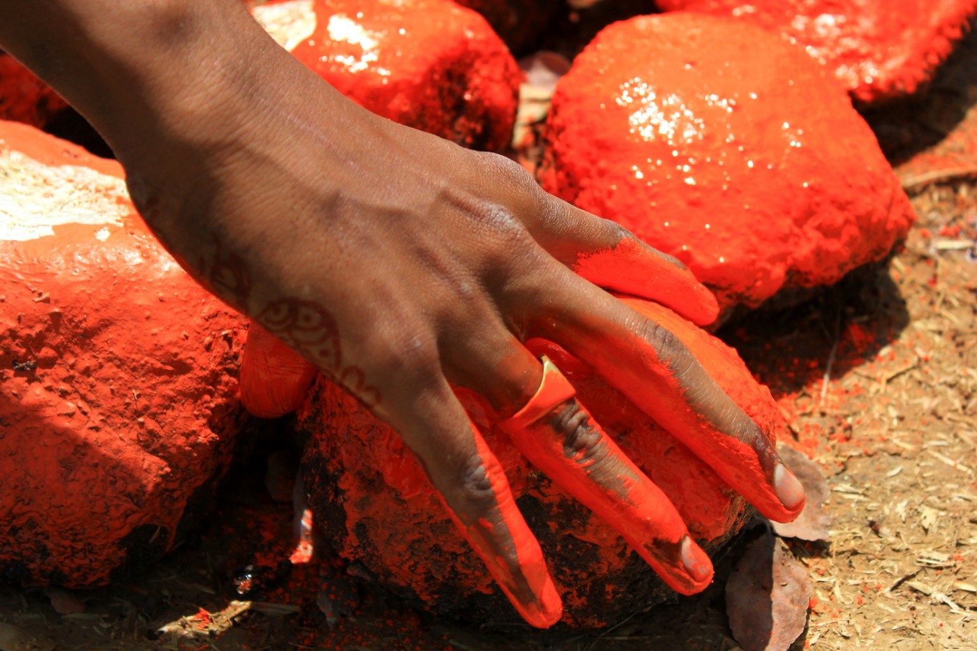 Anthropolitan - Photo