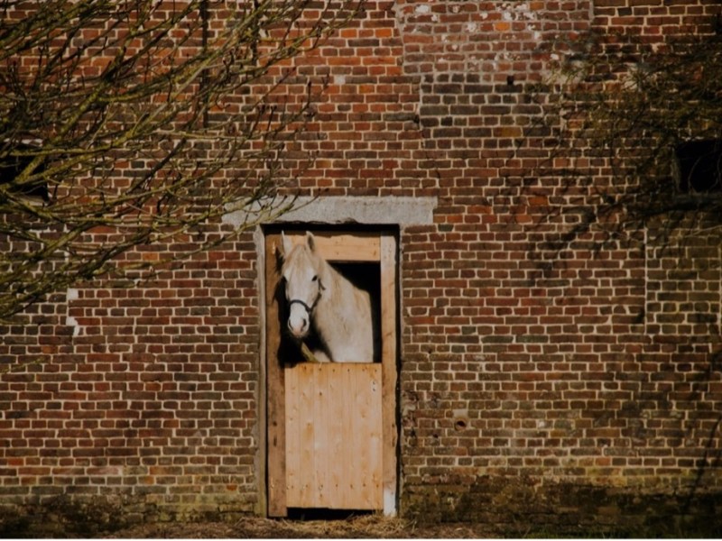 An Ethnography of a Shield: Reading Strength and Vulnerability from&nbsp;Within