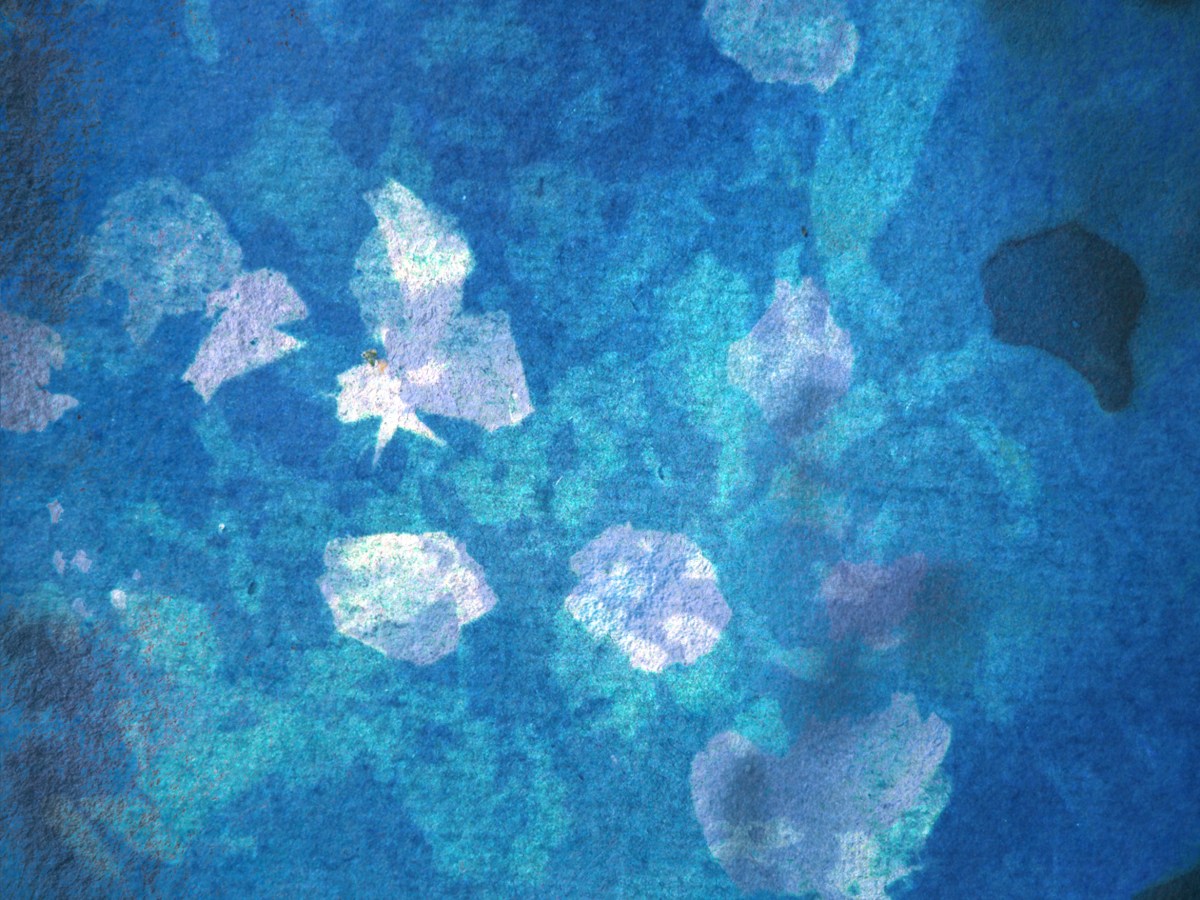 Under the Cherry Tree: Entangled Time in Spa&nbsp;Fields